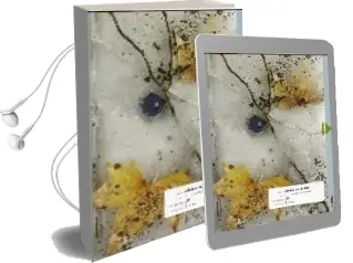 Descargar AudioLibro El Secreto de Amanda de Christina Schwarz año 2001