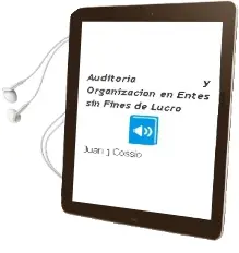 Descargar AudioLibro Auditoría y Organización en Entes sin Fines de Lucro de Juan J. Cossio año 2005