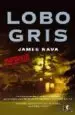 AudioLibro Lobo Gris de James Nava