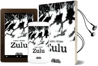Descargar AudioLibro Zulu (Prix Nouvel obs et Bibliobs du Roman Noir 2009. Grand Prix des Lectrices de Elle 2009 (Policier)) de Caryl Ferey año 2008