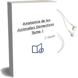Descargar AudioLibro Anatomia de los Animales Domesticos. Tomo 1 de S. Sisson año 2008