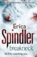 AudioLibro Breakneck de Erica Spindler