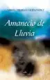 AudioLibro Amanecio de Lluvia de Gabriel Trujillo Hernandez