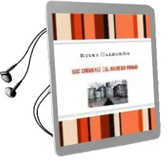 Descargar AudioLibro Los Crimenes del Numero Primo (Ed. Especial Limitada) de Reyes Calderon año 2009