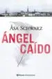AudioLibro Angel Caido de Asa Schwarz
