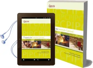 Descargar AudioLibro Proyecto de Insercion Laboral de Javier Pelayo González año 2010