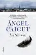 AudioLibro Angel Caigut de Asa Schwarz