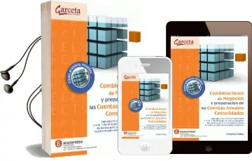 Descargar AudioLibro Combinaciones de Negocios y Preparación de Cuentas Anuales Consolidadas de Antonio Pulido año 2010
