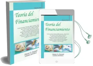 Descargar AudioLibro Teoría del Financiamiento de Roberto Drimer año 2011