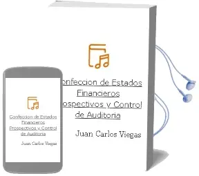Descargar AudioLibro Confección de Estados Financieros Prospectivos y Control de Auditoría de Juan Carlos Viegas año 2011