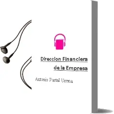 Descargar AudioLibro Dirección Financiera de la Empresa de Antonio Partal Ureña año 2012