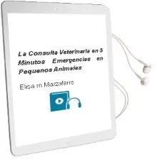 Descargar AudioLibro La Consulta Veterinaria en 5 Minutos. Emergencias en Pequeños Animales de Elisa M. Mazzaferro año 2012