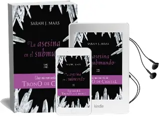 Descargar AudioLibro La Asesina en el Submundo de Sarah J. Maas año 2012