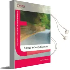 Descargar AudioLibro Sistemas de Gestión Empresarial de César San Juan año 2013