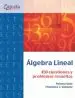AudioLibro Álgebra Lineal de Paloma Sanz Álvaro