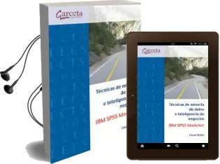 Descargar AudioLibro Técnicas de Minería de Datos ibm Spss Modeler de César Pérez año 2014