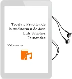 Descargar AudioLibro Teoría y Práctica de la Auditoría ii de José Luis Sánchez Fernández De Valderrama año 2016