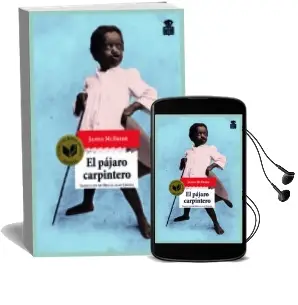 Descargar AudioLibro El Pajaro Carpintero de James Mcbride año 2017