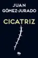 AudioLibro Cicatriz de Juan Gomez Jurado